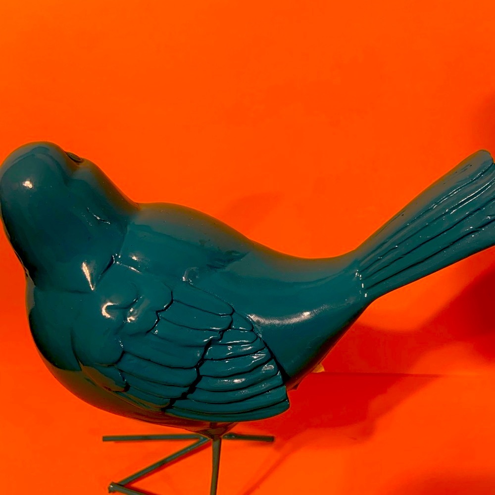 Blue Bird - Picture 4 of 6